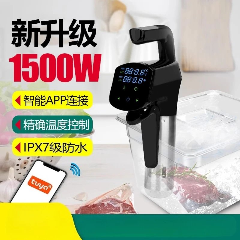 110V/220V Commercial Sous Vide - đánh giá và giá Home Cooking Machine