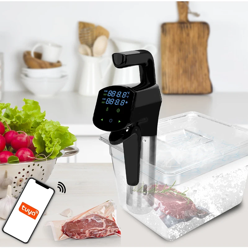 110V/220V Commercial Sous Vide - đánh giá và giá Home Cooking Machine